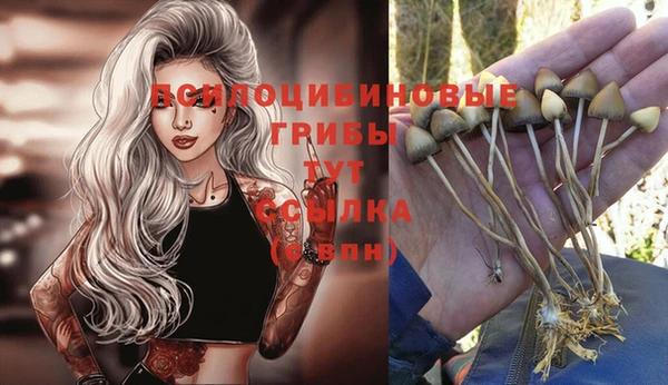 МДМА Алексеевка