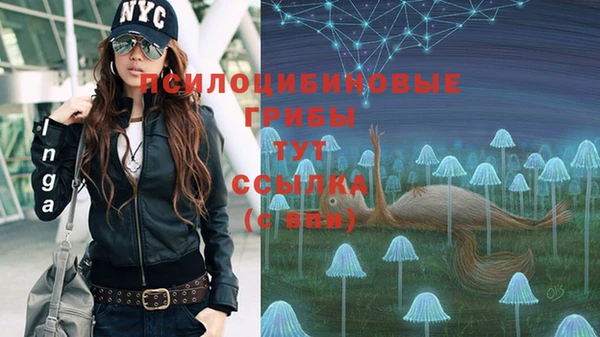 дурь Алзамай
