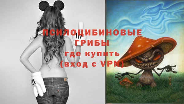 МДМА Алексеевка