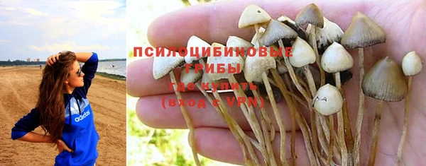 дурь Алзамай