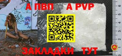 СК Владивосток